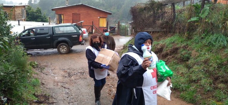 EL COMITÉ REGIONAL LOS RÍOS Y SUS FILIALES LLEVARON AYUDA HUMANITARIA A COMUNIDADES EN SITUACIÓN VULNERABLE PRODUCTO DE PANDEMIA