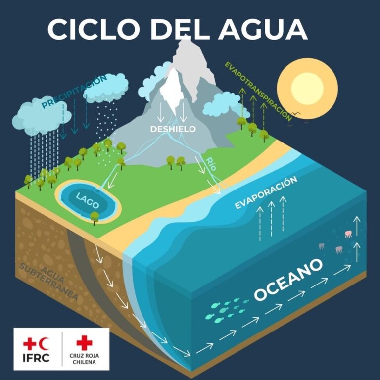 ¿Sabías que el cambio climático es consecuencia de la alteración del ciclo del agua?