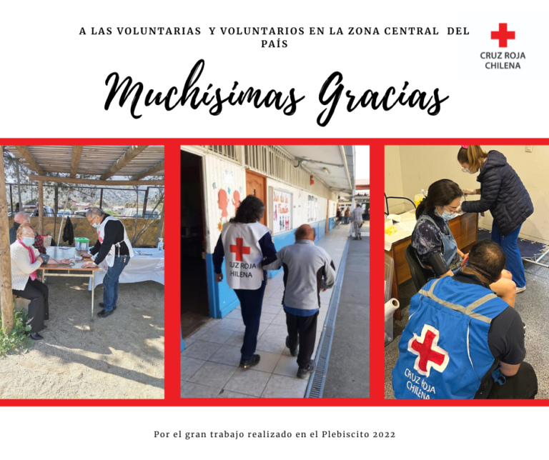 Muchísimas Gracias a los Voluntarios por la labor realizada en el Plebiscito Constitucional