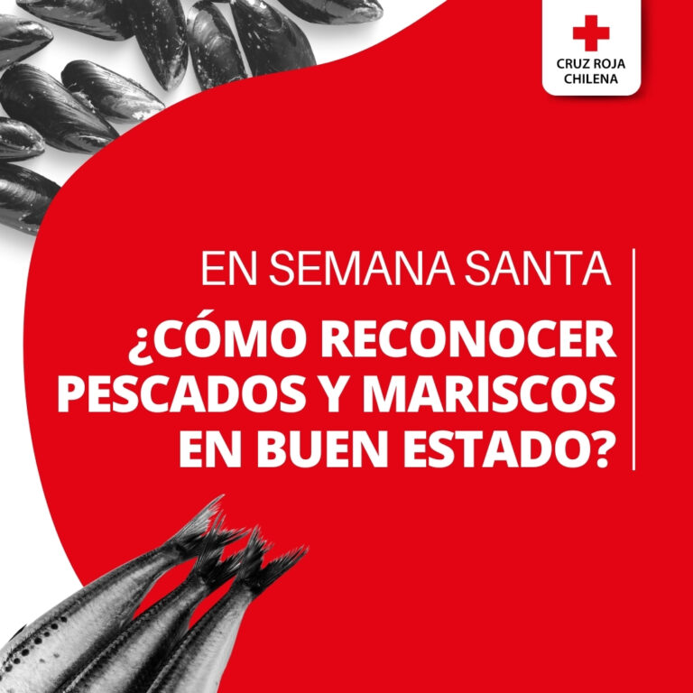 Cruz Roja Chilena entrega recomendaciones para una Semana Santa Segura