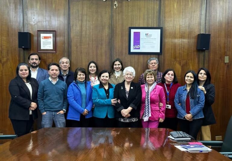 Cruz Roja Chilena participó en la primera reunión del COSOC 2024-26