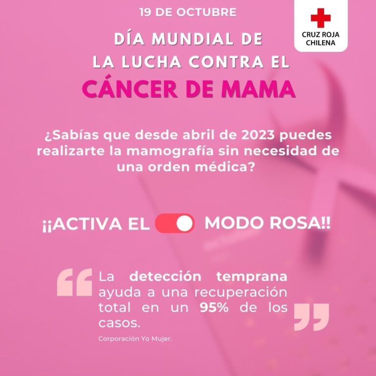 Dia mundial Cáncer Mama 