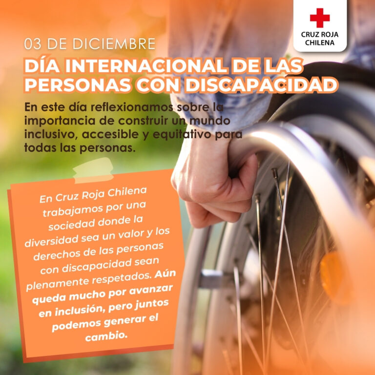 Día Internacional Personas con Discapacidad 