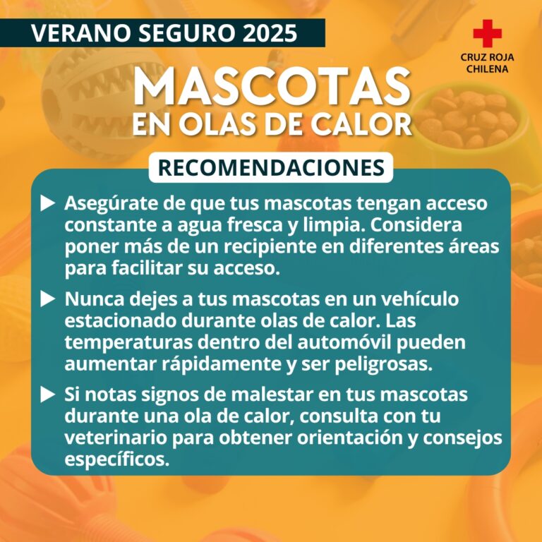 Mascotas en olas de calor 
