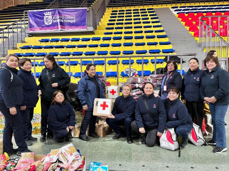 Cruz Roja Chilena despliega ayuda humanitaria ante contingencia en Puerto Varas
